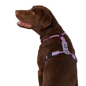 Arcadia Trail Lightweight Maximum Mobility Rope Dog‎ Harness Purple 2XL